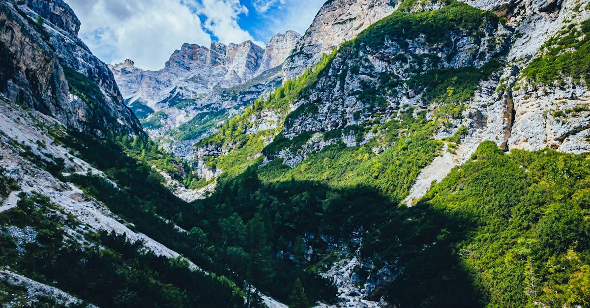 Pahami Pentingnya Kebersihan Gorden di Rawamangun