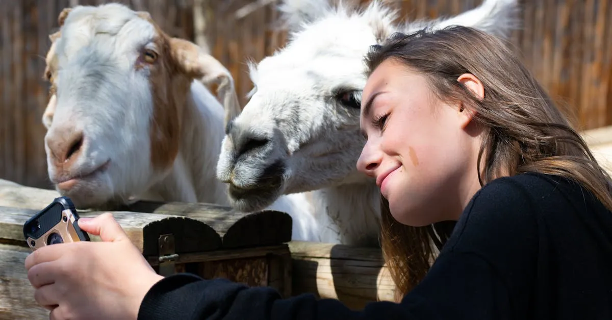 Jasa Cuci Jok Mobil Pasar Lama: Solusi Kebersihan Praktis