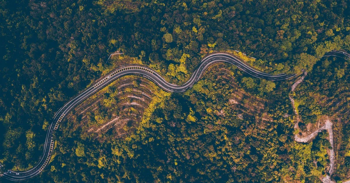 Arno D Clean Cuci Springbed Luar Batang: Bersih Maksimal!