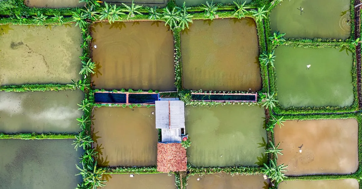 Cuci Springbed Arno D Clean Balekambang Indah: Nyaman Kembali!