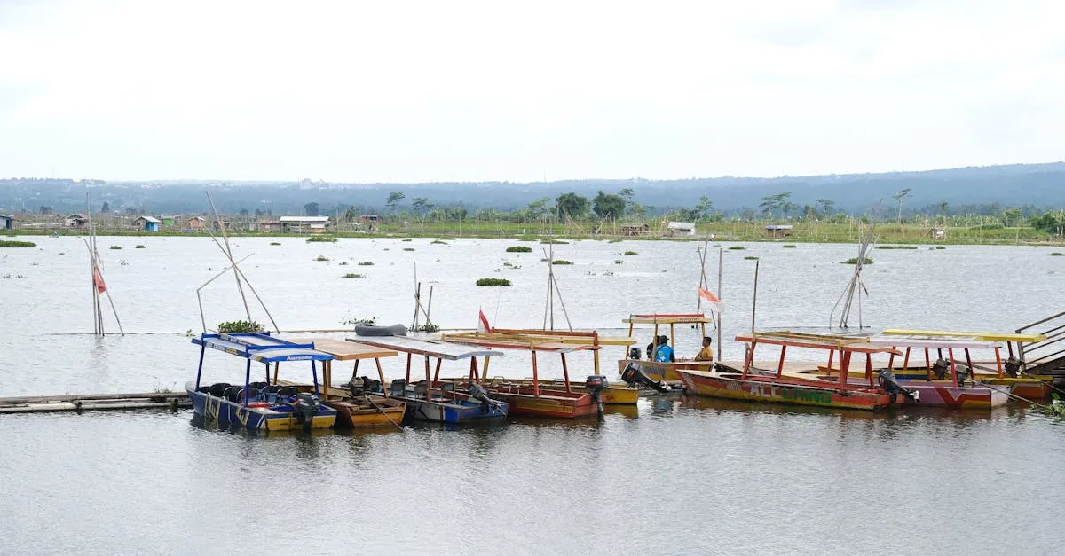Arno D Clean Cuci Sofa Rawa Badak: Bersih & Higienis Maksimal!